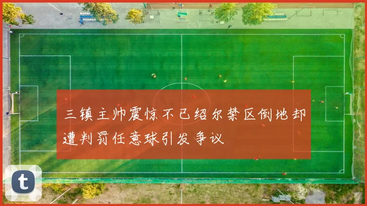 三镇主帅震惊不已绍尔禁区倒地却遭判罚任意球引发争议